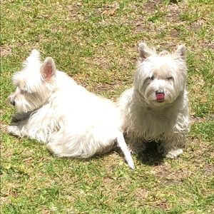 Meet your Posher, Marta